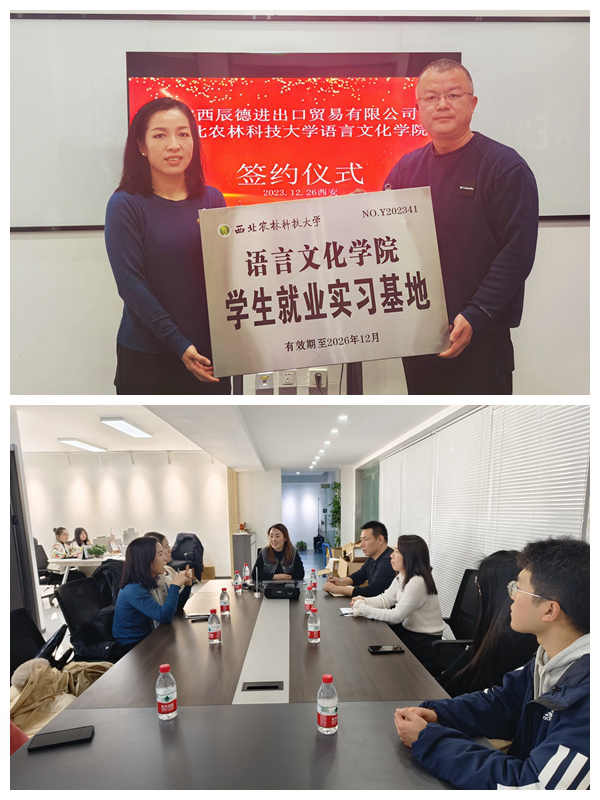 活动现场.jpg