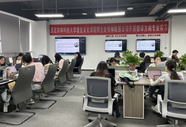 翻译实操_副本.jpg