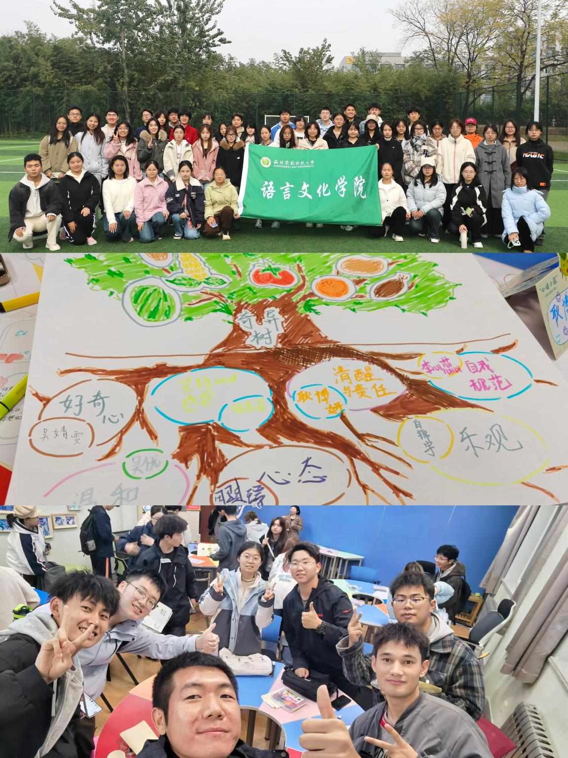 找准青春“心”坐标，紧扣育人“全链条”