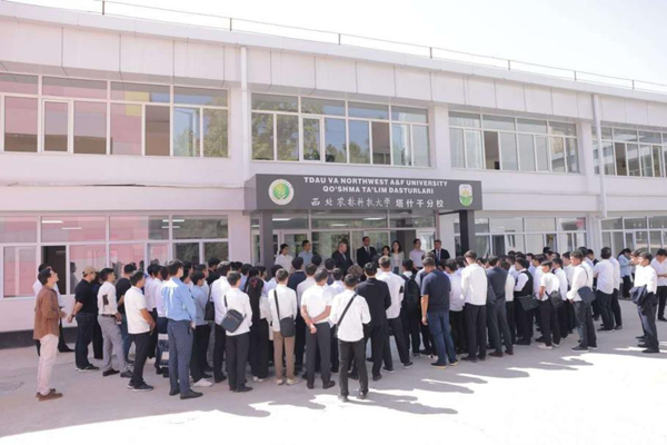 汉语架起求学桥梁—塔什干分校2026级研究生中文课程开课