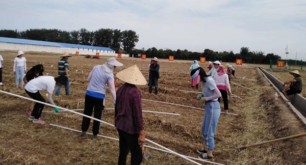 38faff7fc20340ddb21a158cf9ffe258.jpg