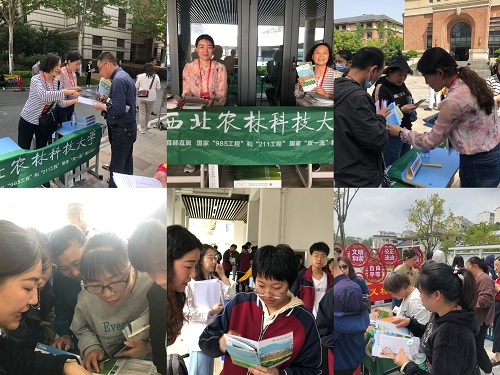 咨询会现场.jpg